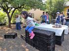 16.5.15 䣼&BBQ10